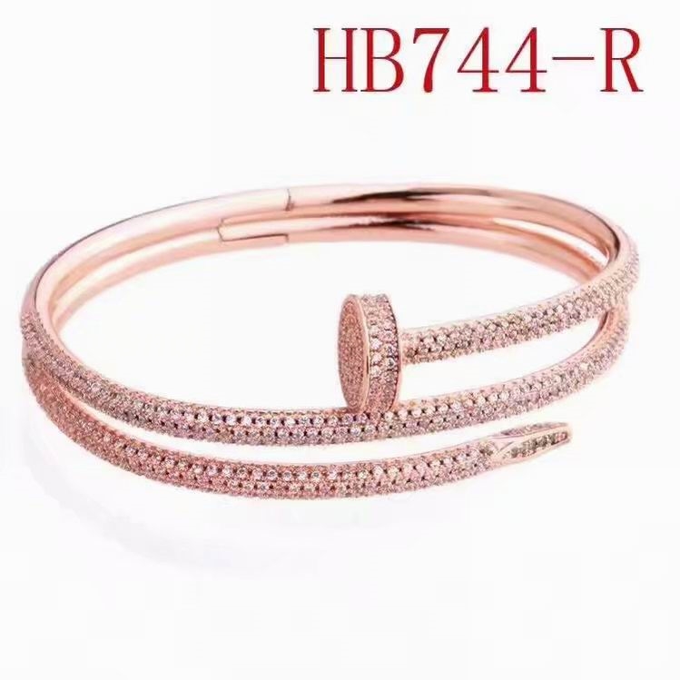 Cartier Bangles 17